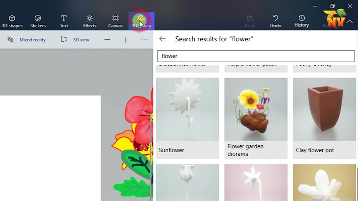 Hướng dẫn sử dụng paint 3d Informational, Transactional