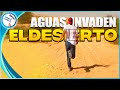 Aguas arrasan el desierto de Israel