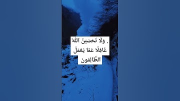 . وَلَا تَحْسَبَنَّ اللَّهَ غَافِلًا عَمَّا يَعْمَلُ الظَّالِمُونَ﴾القارئ إسلام صبحي