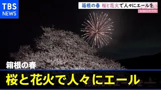 【令和の桜】箱根の春 桜と花火で人々にエール