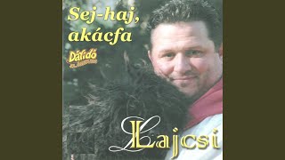 Miniatura de vídeo de "Lagzi Lajcsi - Egy cigánykaraván"