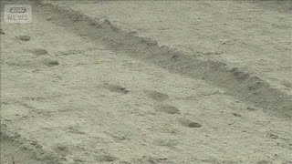 畑で農作業中にクマに襲われ男性けが　秋田(2025年7月21日)