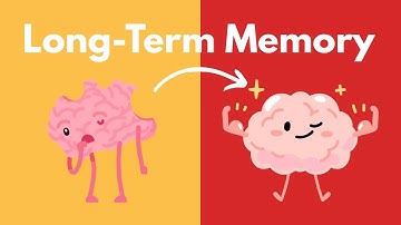 How to Give Your AI Agent Long-Term Memory in n8n