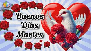 HAPPY TUESDAY God Bless You GOOD MORNING Watch the most beautiful video in the world Beautiful Me...
