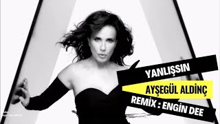 Ayşegül Aldinç ft Dj Engin Dee - Yanlışsın / Remix Resimi