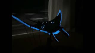 Wooden Manta Ray Automata with Glow Constellation 🌌 Hand Crank Kinetic Sculpture Unique Zodiac Gift