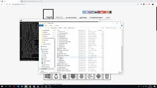 How to build & set up raylib for Visual studio
