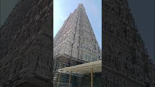Thiruvannamalai Gopura Darisanam!திருவண்ணாமலை கோபுரம்! கோபுர தரிசனம் கோடி புண்ணியம் #thiruvannamalai