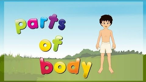class 2 chapter 5 evs How our body works