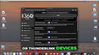 ATTO360 Storage: Adapter Information, Ports, and Device Configuration