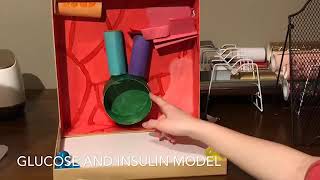 Glucose insulin model: Biomed project