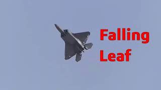 Ukraine war footage, F 22 Raptor does Falling Leaf and Cobra Maneuver!