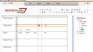 Web Based Report Builder Tool