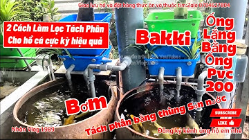 2 Cách Làm Lọc Hồ Cá Koi + Chép Phi Tần Tiết Kiệm - Hướng Dẫn Làm Lọc Hồ Cá Hiệu Quả Nước Siêu Trong