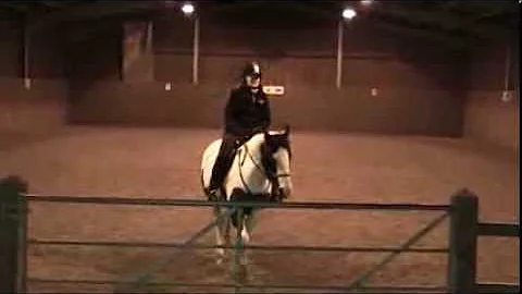 Jane Busby 14/1/14 RDA Grade 1a Intermediate Test ...