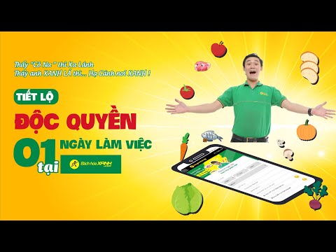 Video Một ngày làm việc tại Bách Hóa Xanh 2020 - youtube