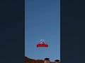 Is this bird actually glitching in real life? 🦅