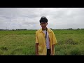 Pagiik by michael angelo vargas santos  pal project