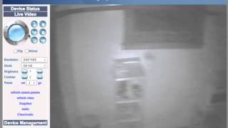 Bug bomb caught on infrared security camera