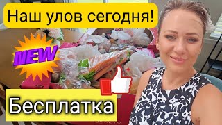 видео: Дали МНОГО бесплатной еды/Шикарный улов🗽/Фудбанк в США/Повезло/Распаковка/Жизнь в США/Лиса в Америке картинка: Дали МНОГО бесплатной еды/Шикарный улов🗽/Фудбанк в США/Повезло/Распаковка/Жизнь в США/Лиса в Америке