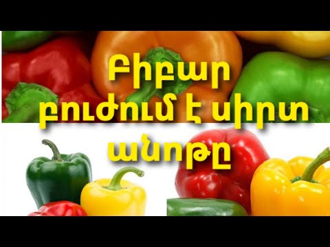 Video: Ե՞րբ պետք է ընտրել շիշիտո պղպեղ: