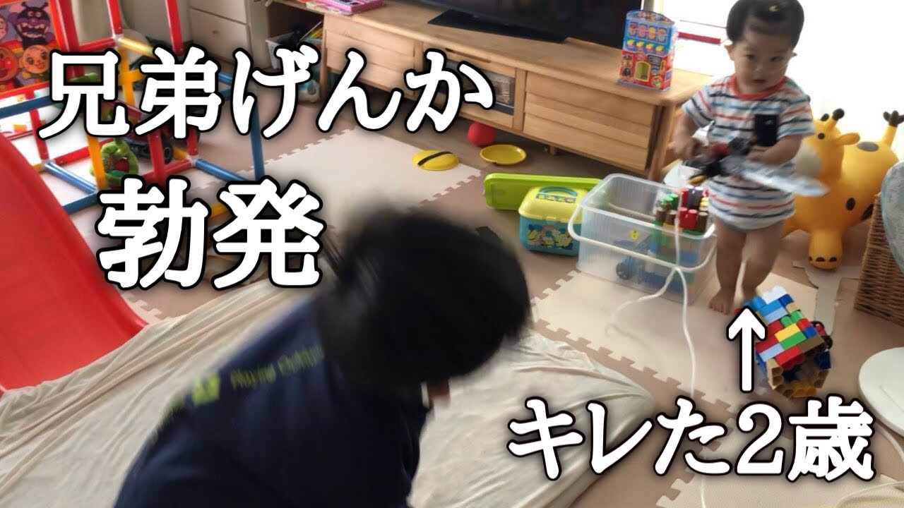 5歳2歳の兄弟ケンカ勃発/仲直りまでのノンフィクション