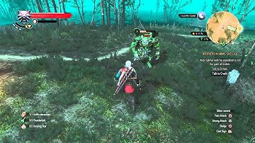 The Witcher 3: The Gargoyle of Frischlow