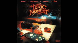 Toxic Moment Remix 