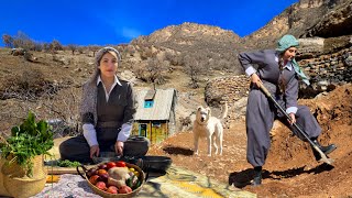 Savoring Village Life: Cooking Stuffed Chicken with Dolma in the Mountain Hut! by Village Events 10,979 views 3 months ago 24 minutes