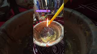 Кому требуется помощь пишите мне в WhatsApp Telegram SMS 89064033464 #рек #таро #топ #fyp ￼