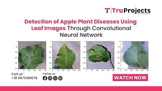 Detection of Apple Plant Diseases Using Leaf Images Through Convolutional Neural Network