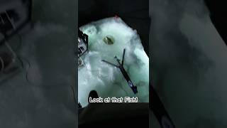 JawJacker EXPLODES… Then This 20” Brown Trout Shows Up 😱🐟
The JawJacker snapped… and seconds later this absolute tank of a brown trout came screaming up the hole 🎣
🔥Ice fishing surprises like this are why we keep coming back.
👉 Watch the FULL video here:
https://youtu.be/gDCAmVuCeHs?si=r1D6XWjSRX7Uf-f-
You won’t believe what happened before and after this moment…
If you enjoy family-friendly Alberta fishing adventures, hit 👍 and subscribe for more! JawJacker EXPLODES… Then This 20” Brown Trout Shows Up 😱🐟
