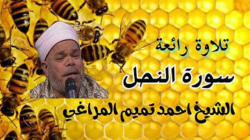 تلاوة خاشعة من سورة النحل الشيخ احمد تميم المراغي