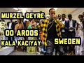 Murzel geyre oo wacdara ka dhigay aroos sweden 2021