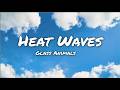 Heat Waves Lyrics - Glass Animals🌊✨