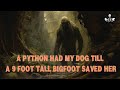 EPISODE 657 9 FOOT TALL BIGFOOT SAVED MY DOG