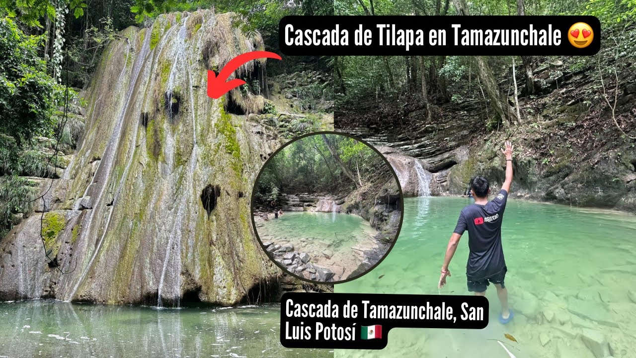Visitamos la cascada de Tilapa en Tamazunchale, San Luis Potosí 😍 - YouTube