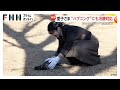 愛子さま「鴨場接待」でハプニング！カモがびっくり？動かなくなり「大丈夫ですか…」冷静対応で拍手と笑顔　左手首にはラオスで結ばれた「白い糸」