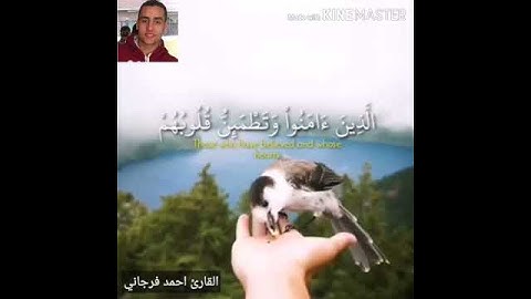 اجمل حالة واتس بصوت القارئ احمد فرجاني    (    الذين آمنوا وتطمئن قلوبهم بذكر الله   )