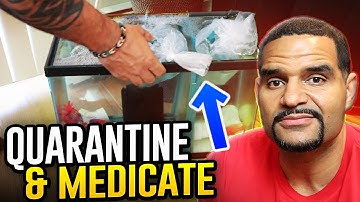 Quarantine Your Fish - Why, How, and When To Medicate