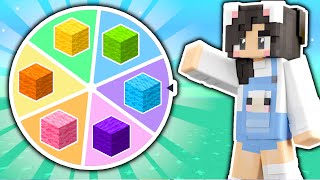 💜Wheel Spin Decides Colors of my Minecraft House!