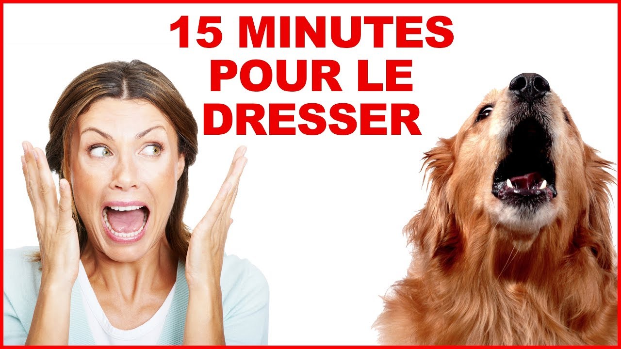 Dressez Votre Chien En 15 Minutes Par Jour