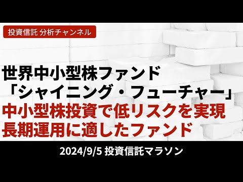 【世界中小型株ファンド「シャイニング・フューチャー」】全世界の中小型株に幅広く投資を行いながら低リスクを実現。長期投資に適したファンドを分析【9/5 投資信託マラソン】