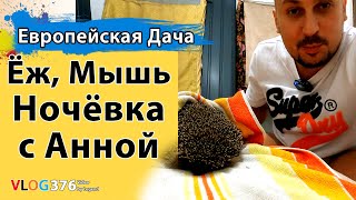 Ночёвка с Анной на даче. Выгнали мышь и поймали ежа | Европейская дача