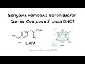 Senyawa Pembawa Boron (Boron Carrying Compund) pada BNCT | BNCT