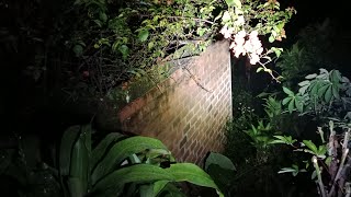 Live Misteri‼️ADA APA DI TEMPAT INI