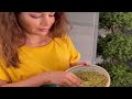 سلطة الفريكة Freekeh Salad سلطة الفريكة Freekeh Salad