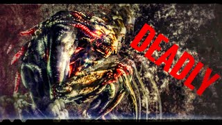 Natural Selection 2 NO HOPE AGAINST AN ADRENALINE FUELED THREAT TO HUMANITY