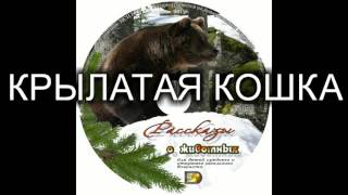 Детский рассказ о животных "КРЫЛАТАЯ КОШКА" МСЦ ЕХБ (Благотворительный фонд "Дом Тепла") Детский рассказ о животных "КРЫЛАТАЯ КОШКА" МСЦ ЕХБ (Благотворительный фонд "Дом Тепла")