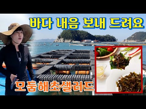 여기는 바다.. 신선한 모둠해초샐러드와 싱싱한 전복입니다.